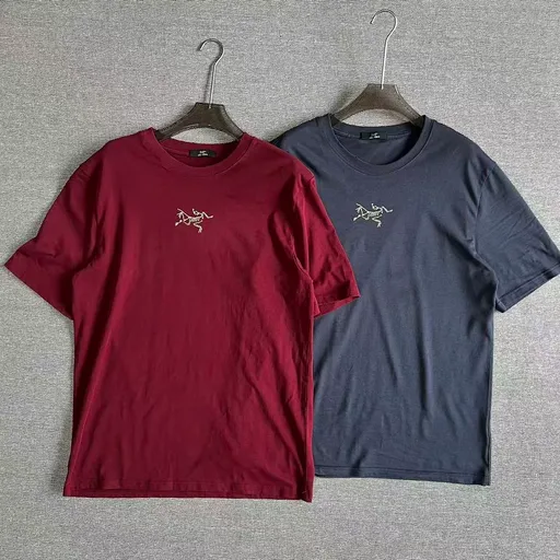 Vintage Arcteryx Retro tee
