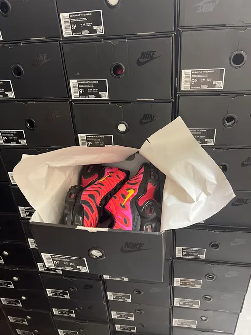 Supreme Nike TN Shoes Red