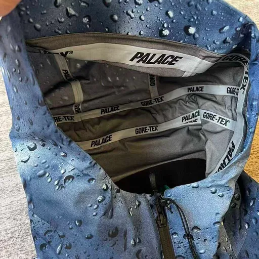 Palace GORE-TEX Palex Jacket