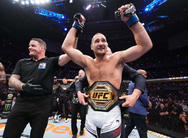 JNPO: The MMA year in review, pt. 3