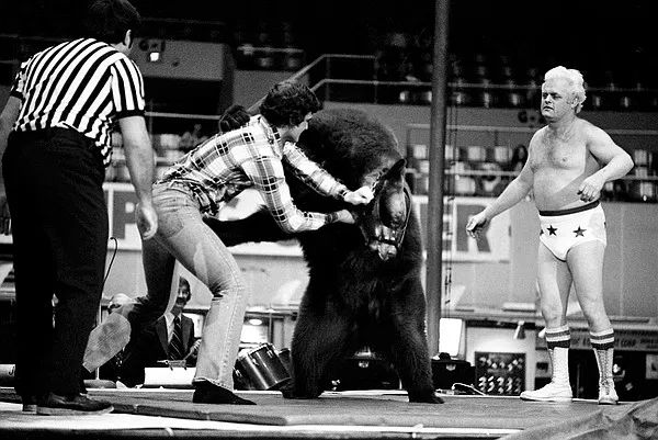 DragonKingKarl Classic Wrestling Show: Bear wrestling in the pioneer era