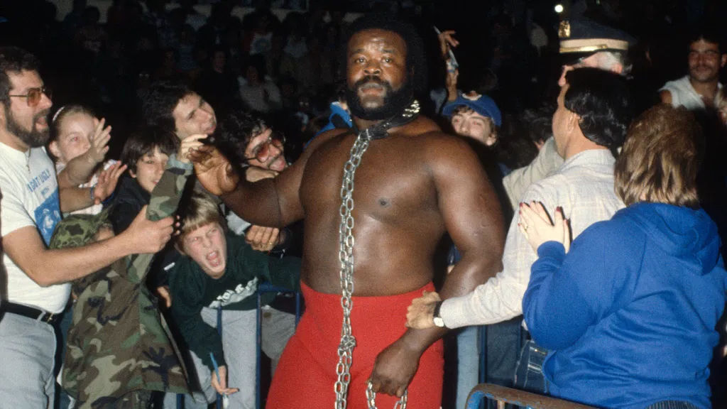 DragonKingKarl Classic Wrestling Show: WON Hall of Fame case for Junkyard Dog
