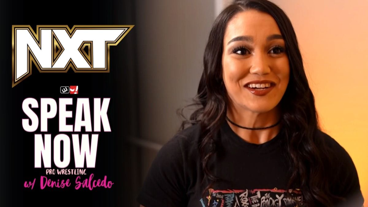 Speak Now: WWE NXT Stand & Deliver go-home show