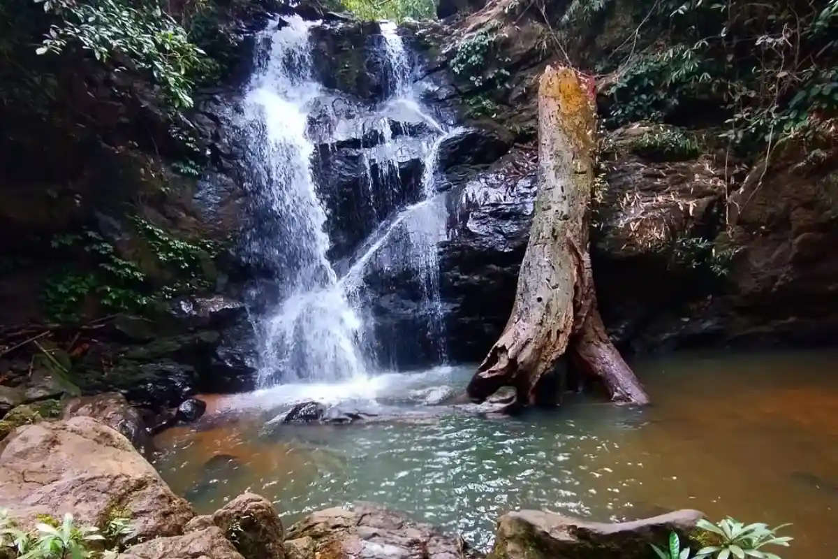 Garbhanga Reserve Forest