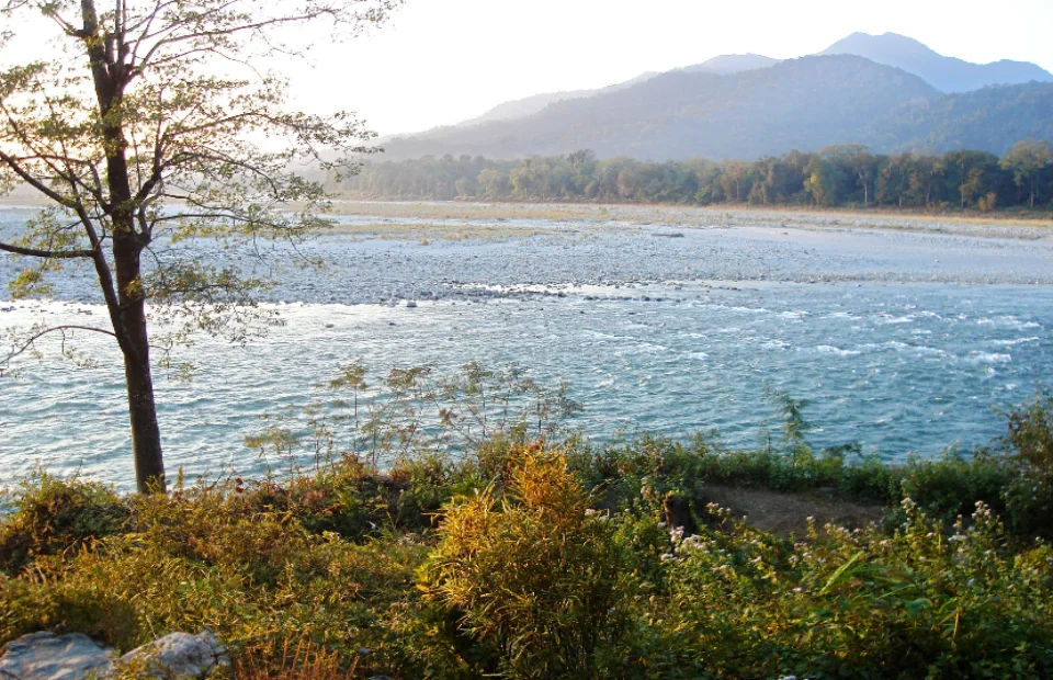 A scenic view of Manas National Park: A site for Heritage Tourism in Assam