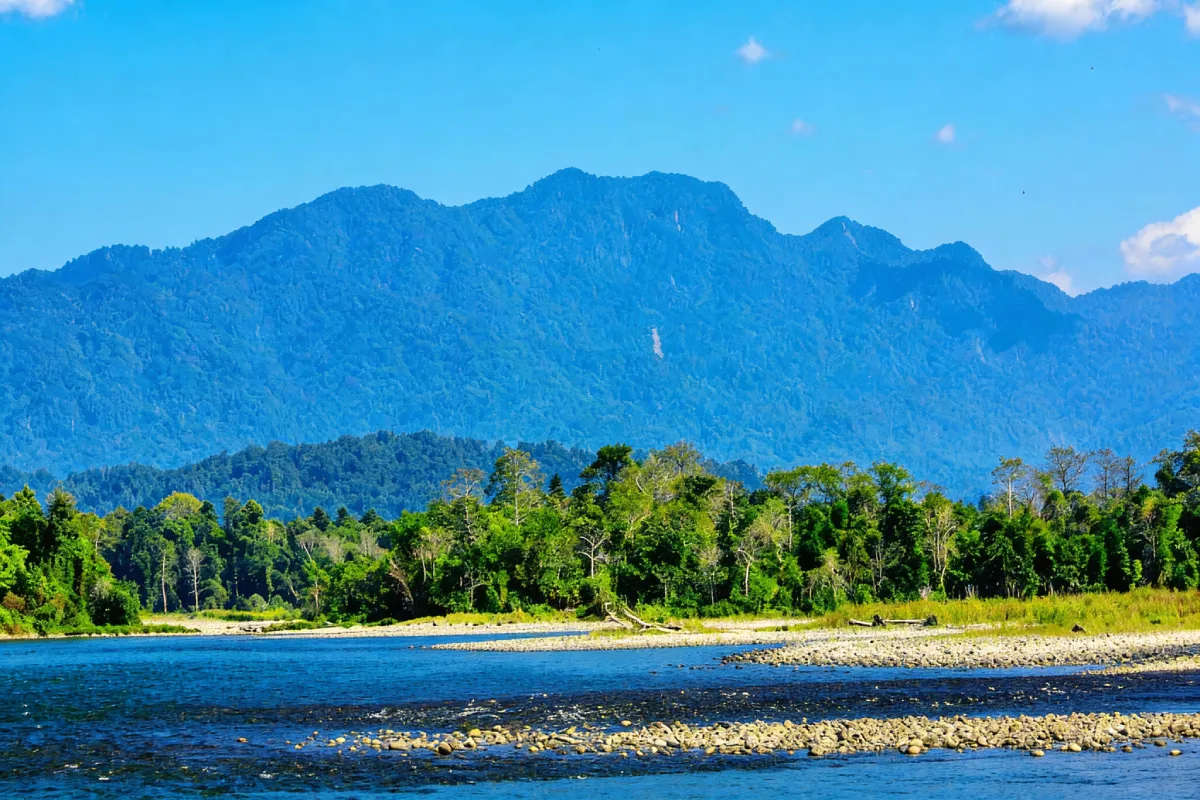 Nameri National Park