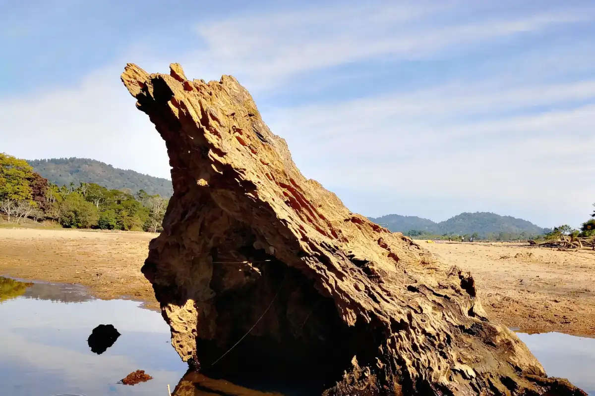 Ranikhamar Picnic Spot