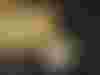 Bild ohne Beschreibung