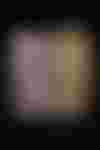 Bild ohne Beschreibung