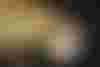 Bild ohne Beschreibung