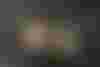 Bild ohne Beschreibung