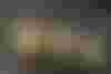 Bild ohne Beschreibung