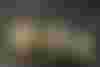 Bild ohne Beschreibung