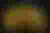 Bild ohne Beschreibung