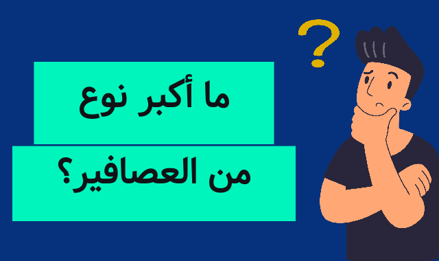 ما أكبر نوع من العصافير؟