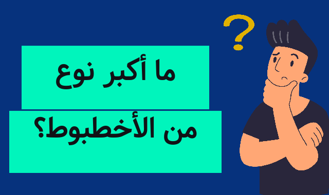 ما أكبر نوع من الأخطبوط؟