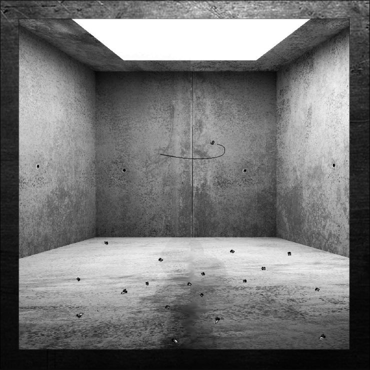 619 BW