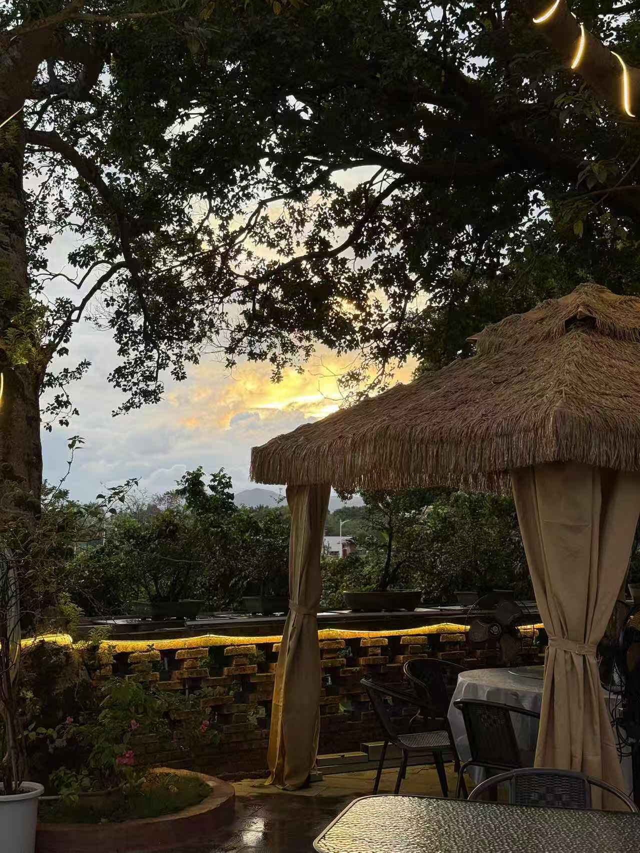 珠海農家菜避坑指南