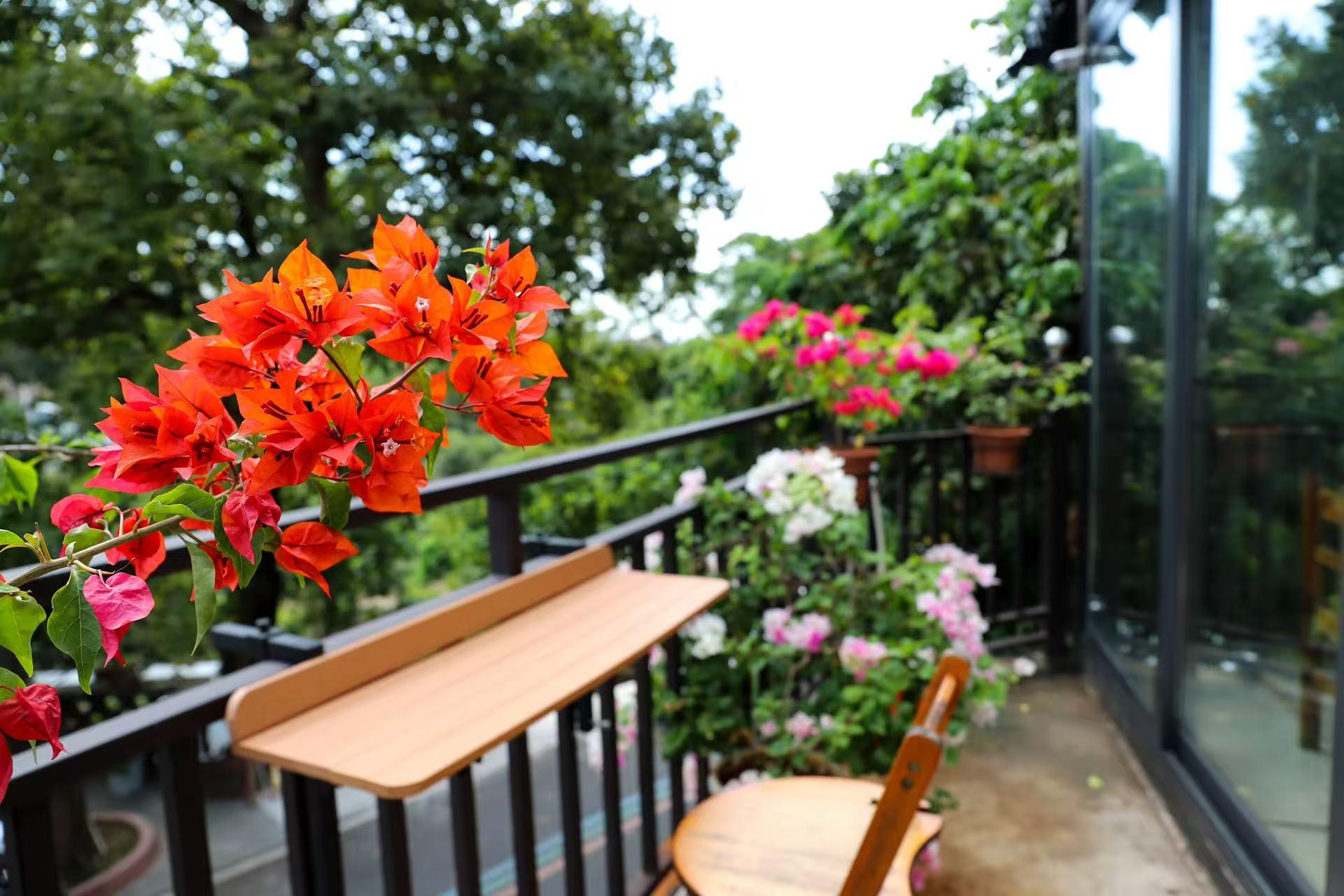 斗門農家菜 vs 珠海市區餐廳：環境、食材、體驗全方位對比
