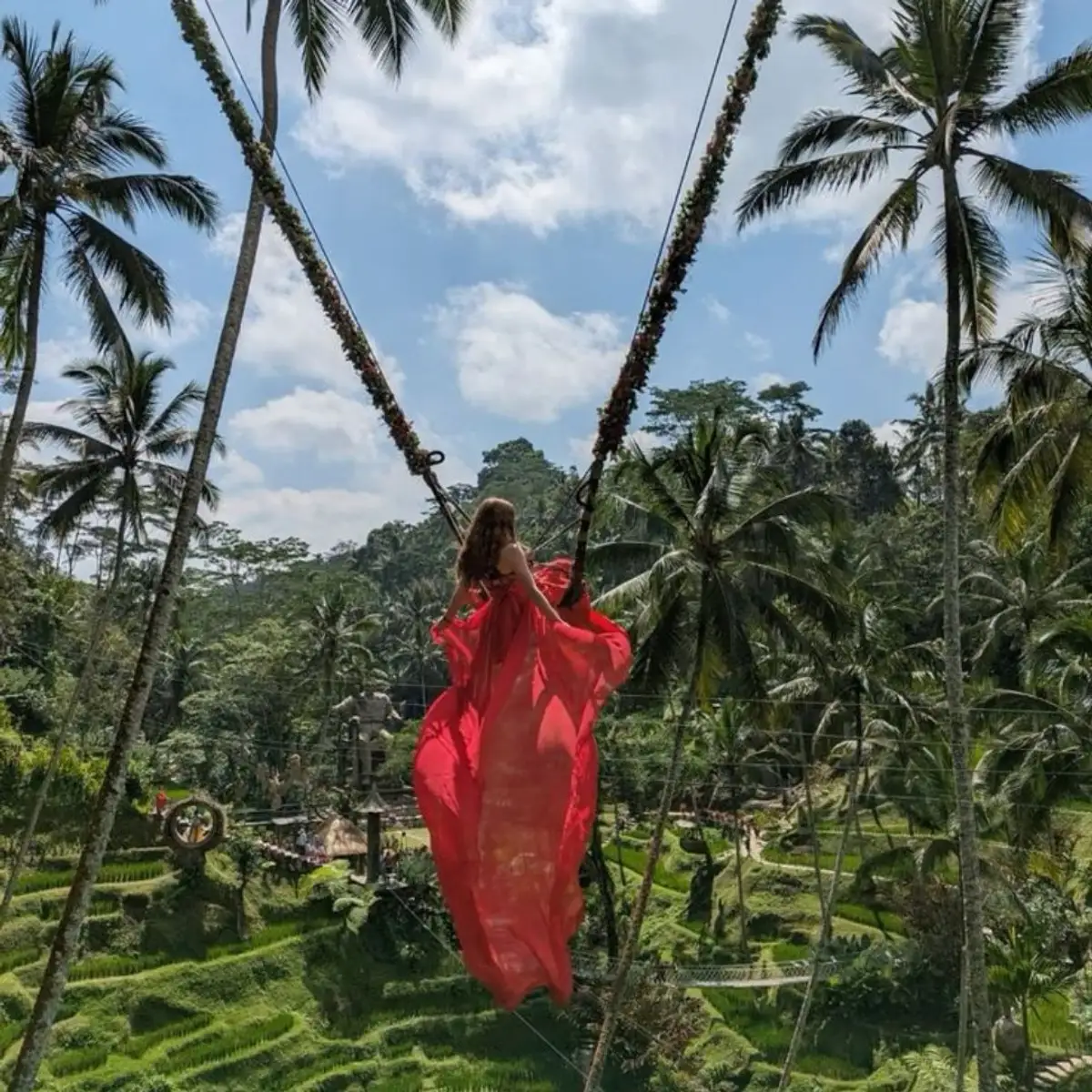 Bali jungle swing surrounded by lush tropical forests and palm trees in Ubud