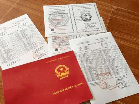 Làm Bằng Đại Học Uy Tín - Chọn Lựa Thông Minh Cho Tương Lai