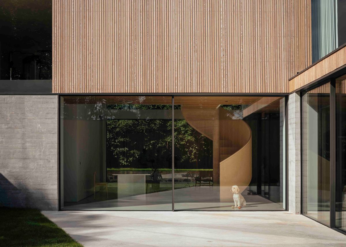 An outside shot looking into a heavily glazed house. Through the glass, a dog can be seen sitting at the bottom of a birch plywood spiral staircase. The home’s exterior materials are made from timber cladding and board marked concrete.