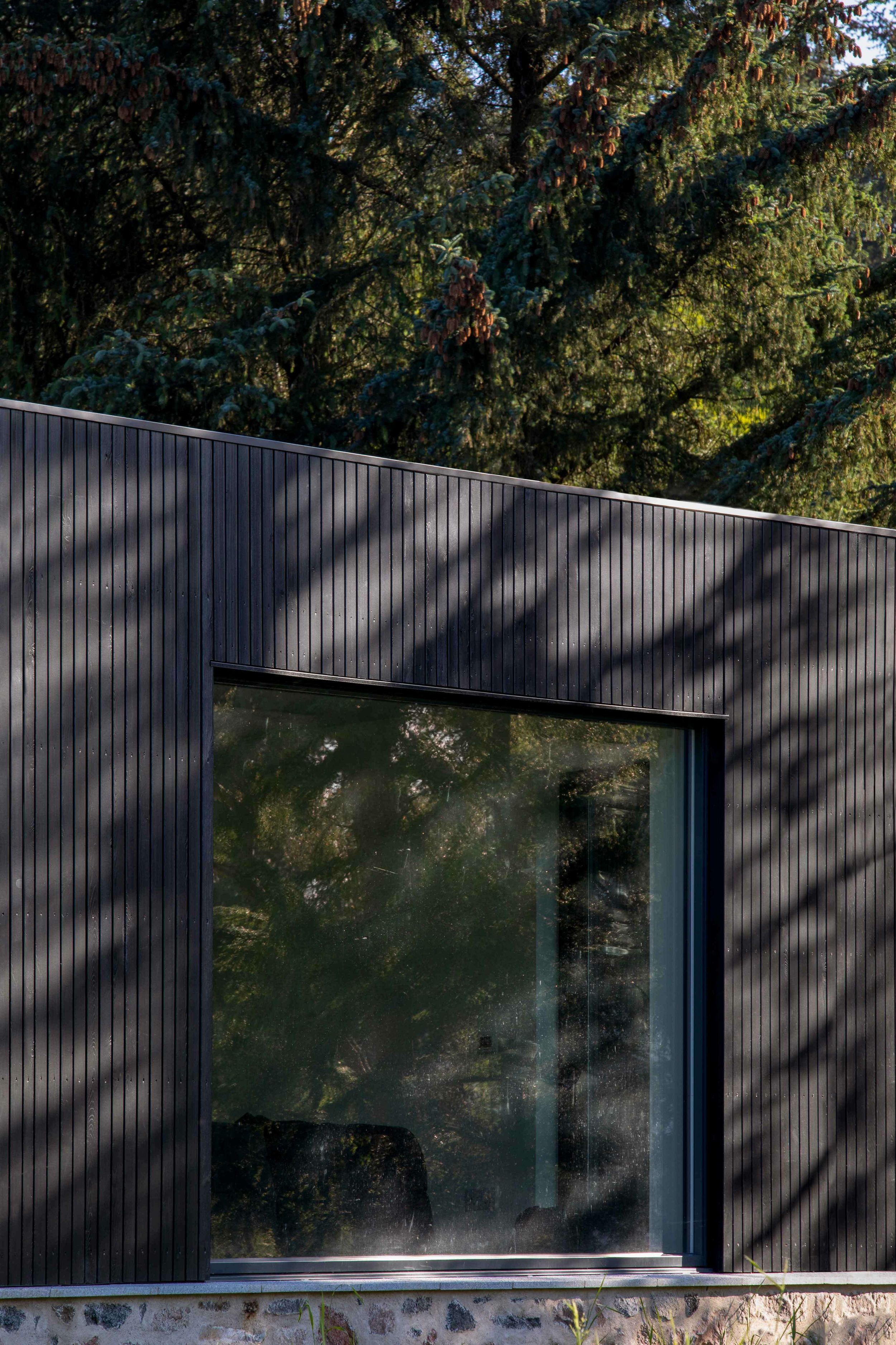 Dappled light on modern, blackened timber and glass box shaped extension surrounded by woodland