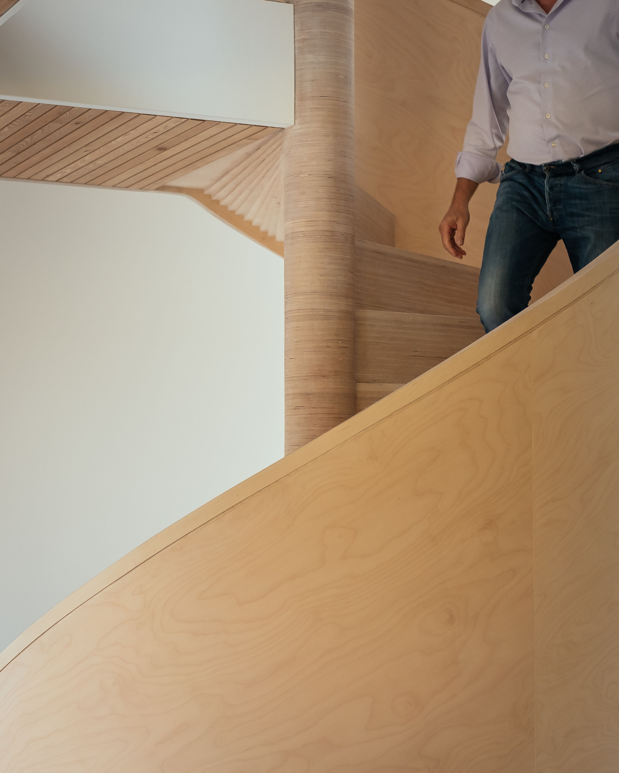 A detail, close up shot of the curved timber of a birch plywood spiral staircase. A partially obscured man can be seen descending the stairs.