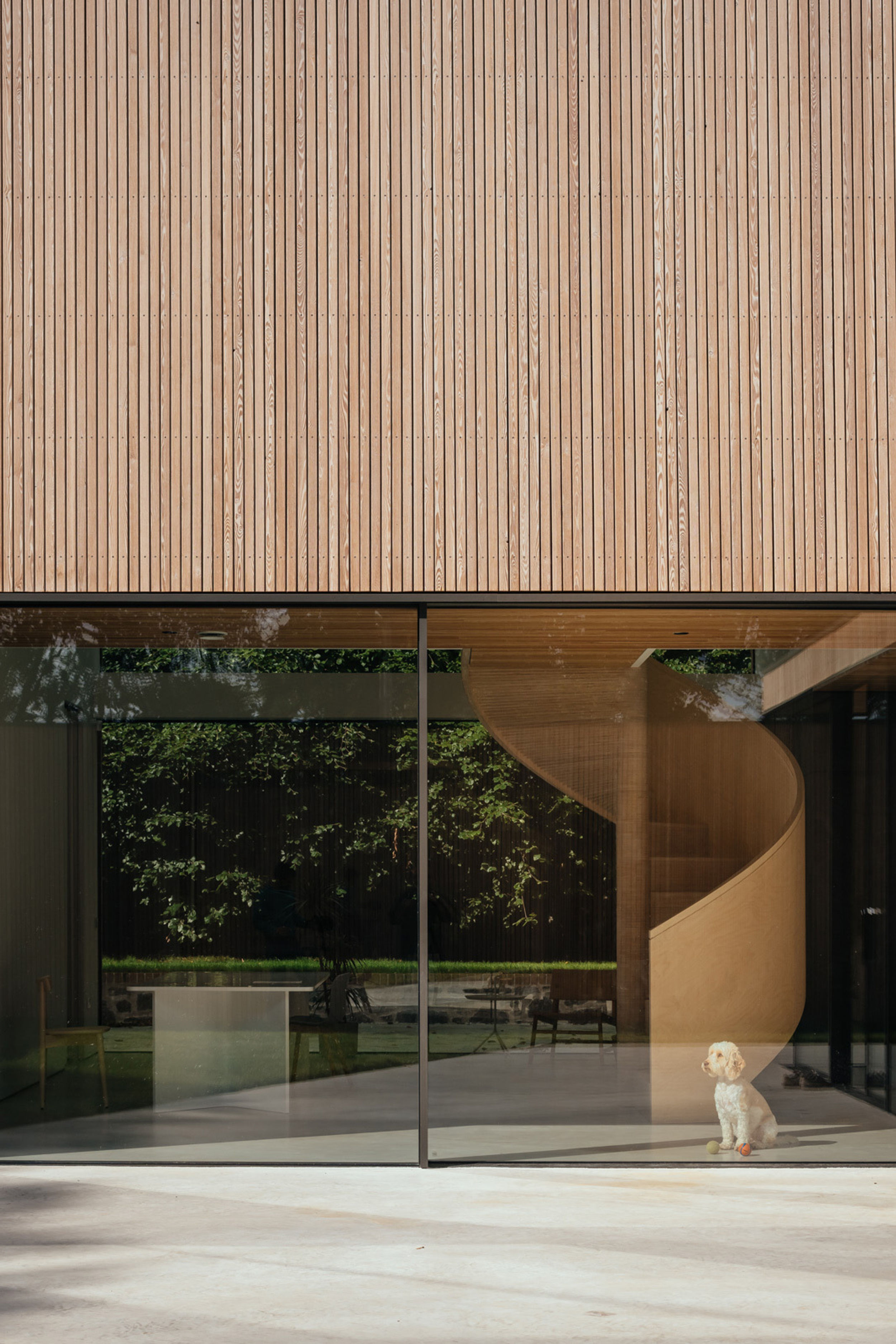 An outside shot looking into a heavily glazed house. Through the glass, a dog can be seen sitting at the bottom of a birch plywood spiral staircase. The home’s exterior materials are made from timber cladding and board marked concrete.