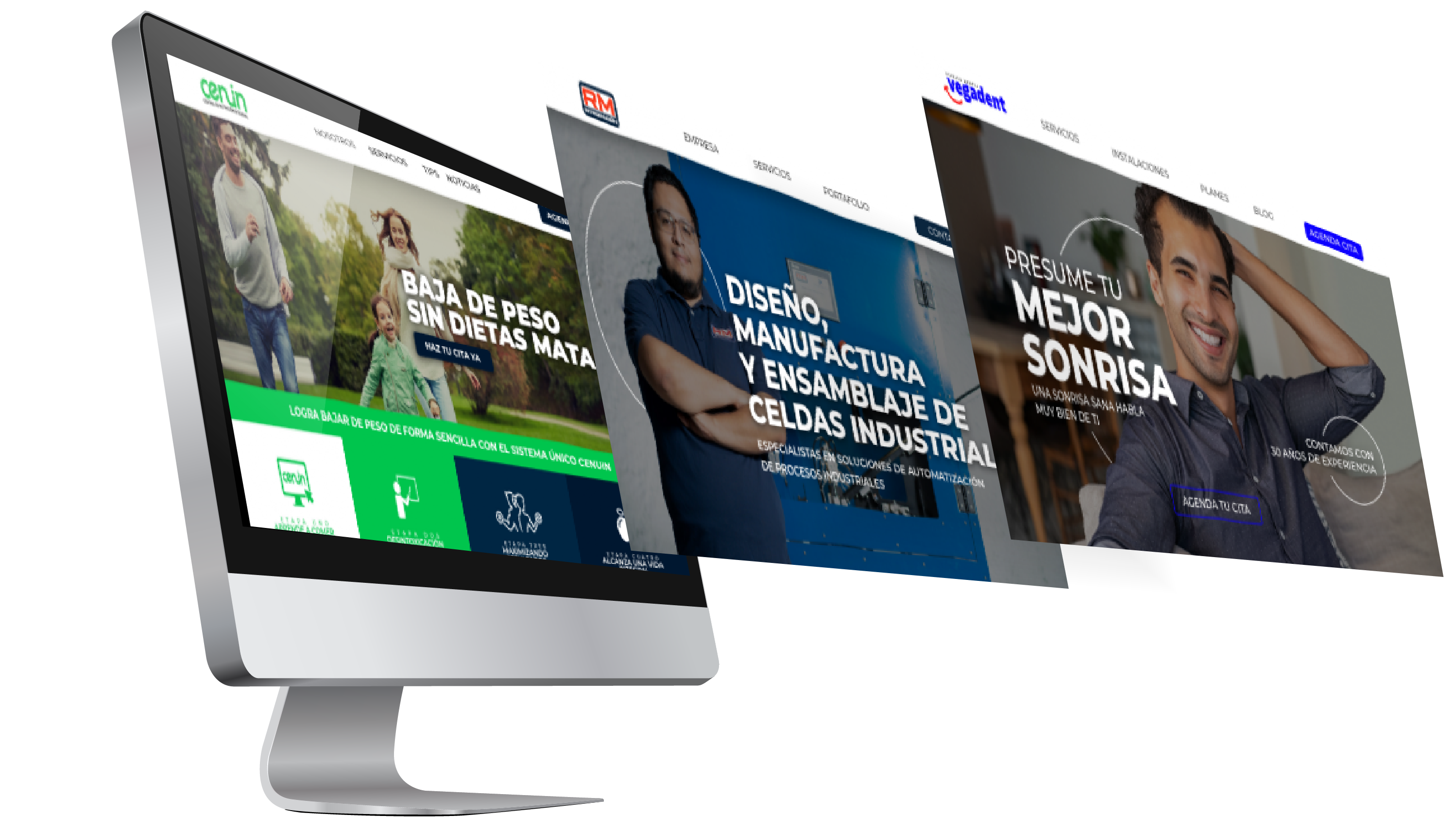 desarrollos web