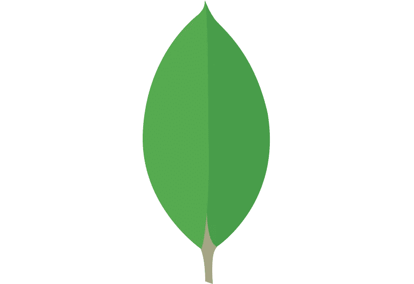 MongoDB