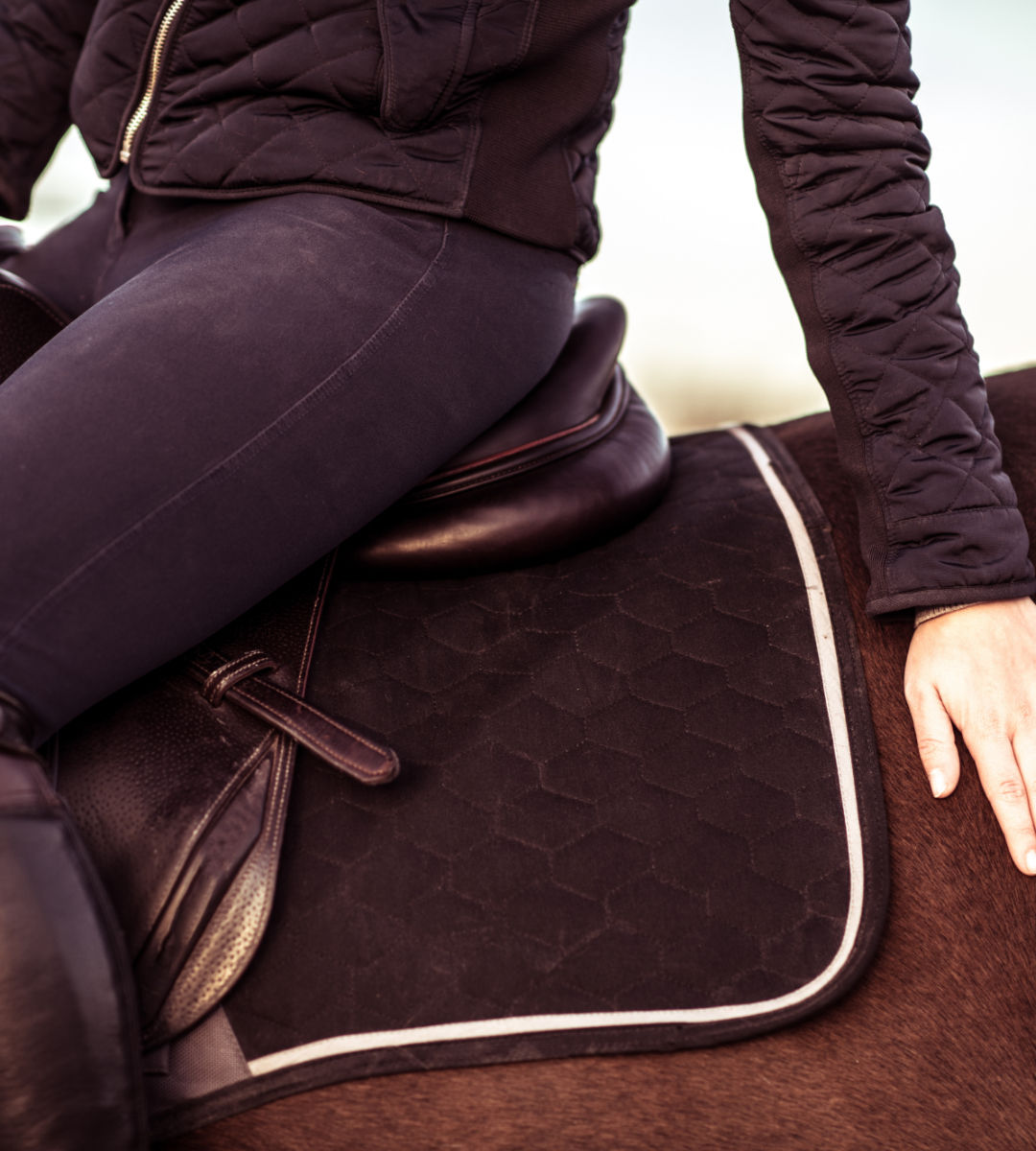 Performance Textiles for Equine Safety Applications