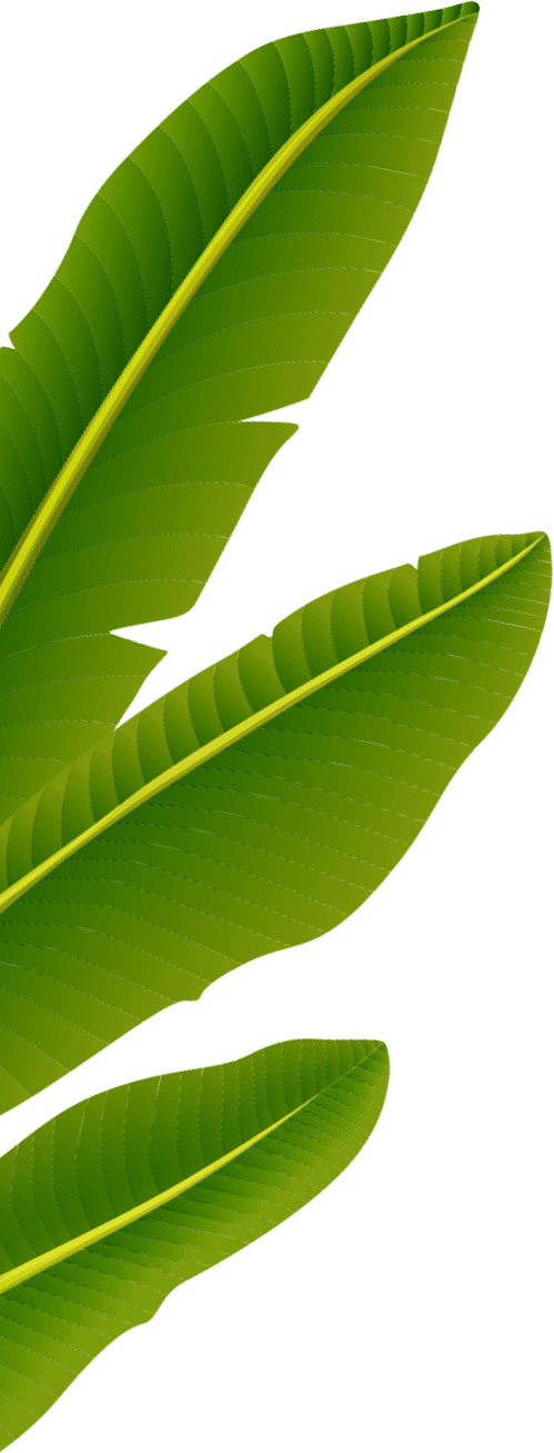 Decorative Leaf