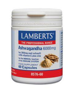 Ashwagandha 6000mg 60 cápsulas - Lamberts