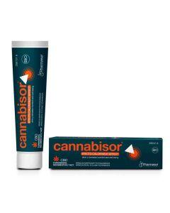 Cannabisor efecto calor BIO 60ml. - Pharmasor