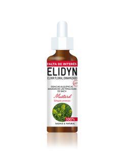 Elidyn 760 mustard 20ml - Celidyn