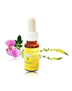 Tuna 20ml - Esencias Florales del Mediterráneo