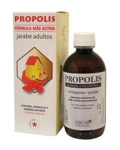 Própolis Jarabe adultos 200ml - Gricar