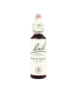 Wild Rose / Rosa Silvestre 20ml - Flores de Bach Originales