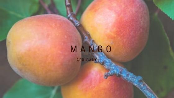 Mango africano