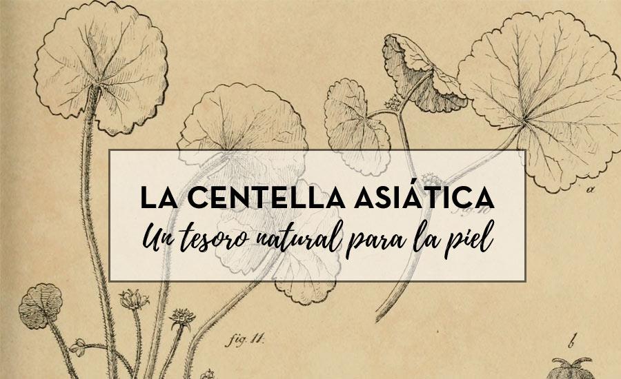 La centella asiática: Un tesoro natural para la piel