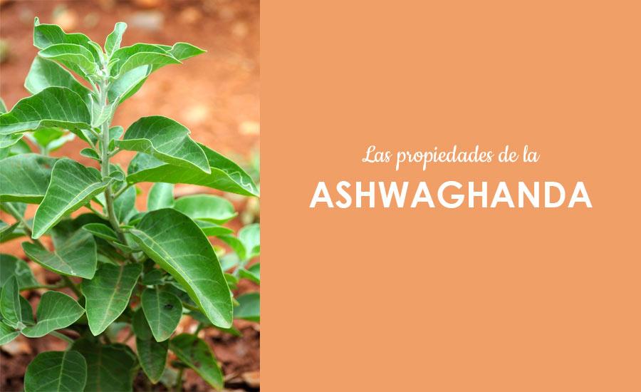 planta de ashwaganda