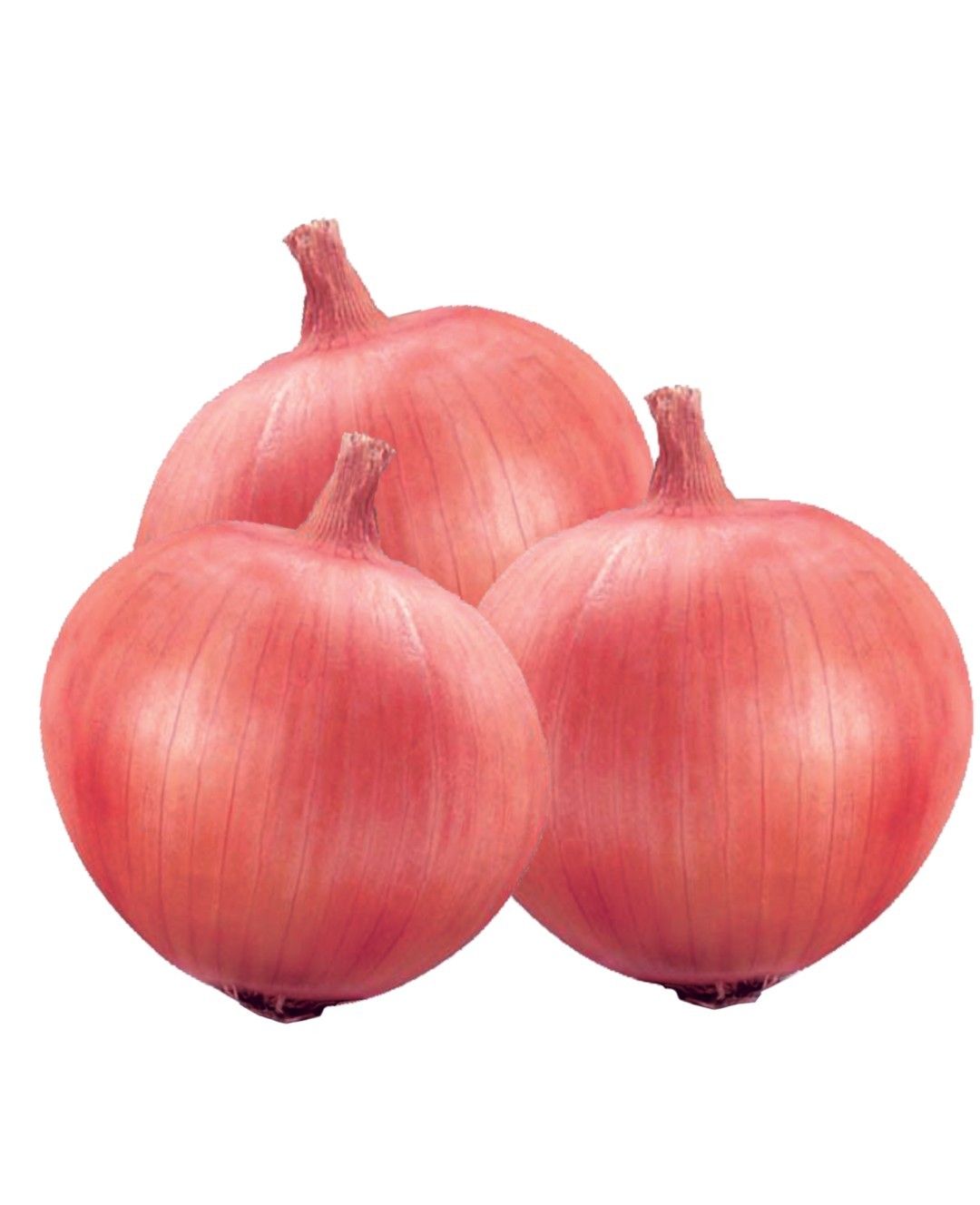 Onion Fursungi