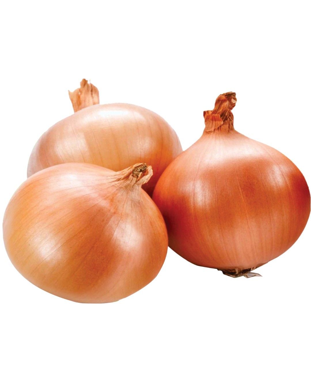 Onion Gauran