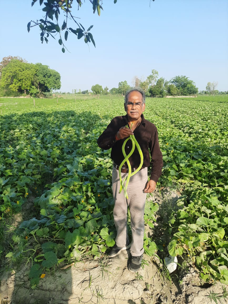 Chandra Arun Crop Science