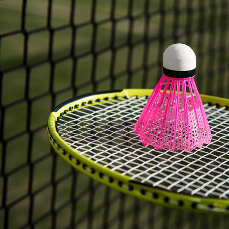 Badminton & Pickleball - Pay & Play