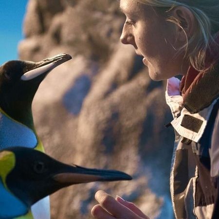 Dyrepasser for en dag