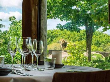 Ølsmagning - Danmarks vildeste!