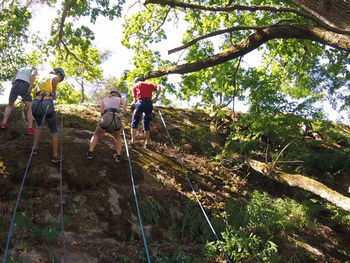 Firning från klippa