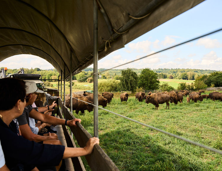 Guidet tur med prærievognen